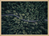 Winding Forest Road Art Print UK — Landscape Calm Wall Art — Living Room — Wall It All Prints