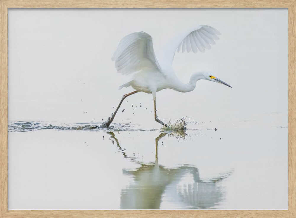 Egret Water Run Art Print UK — Abstract Vibrant Wall Art — Office — Wall It All Prints