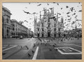 Piazza Duomo Pigeons