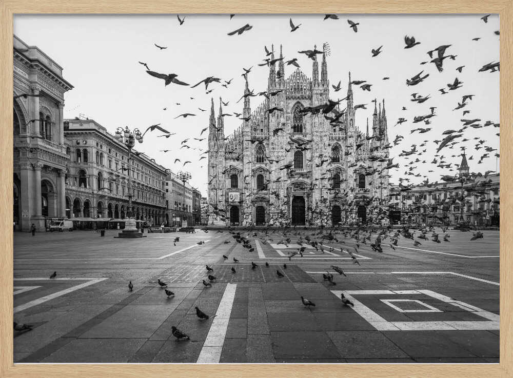 Piazza Duomo Pigeons Art Print UK — Dark Moody Dark Wall Art — Living Room — Wall It All Prints