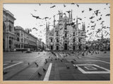 Piazza Duomo Pigeons Art Print UK — Dark Moody Dark Wall Art — Living Room — Wall It All Prints