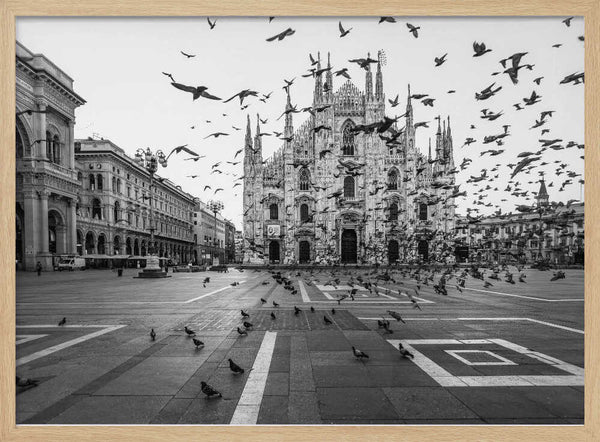 Piazza Duomo Pigeons Art Print UK — Dark Moody Dark Wall Art — Living Room — Wall It All Prints