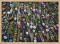 Vibrant Floating Market