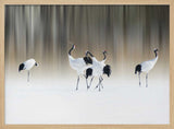 Graceful Cranes in Snow Art Print UK — Japanese Calm Wall Art — Living Room — Wall It All Prints