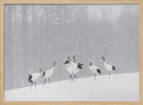 Red-crowned Cranes Snowfall Art Print UK — Japanese Calm Wall Art — Living Room — Wall It All Prints