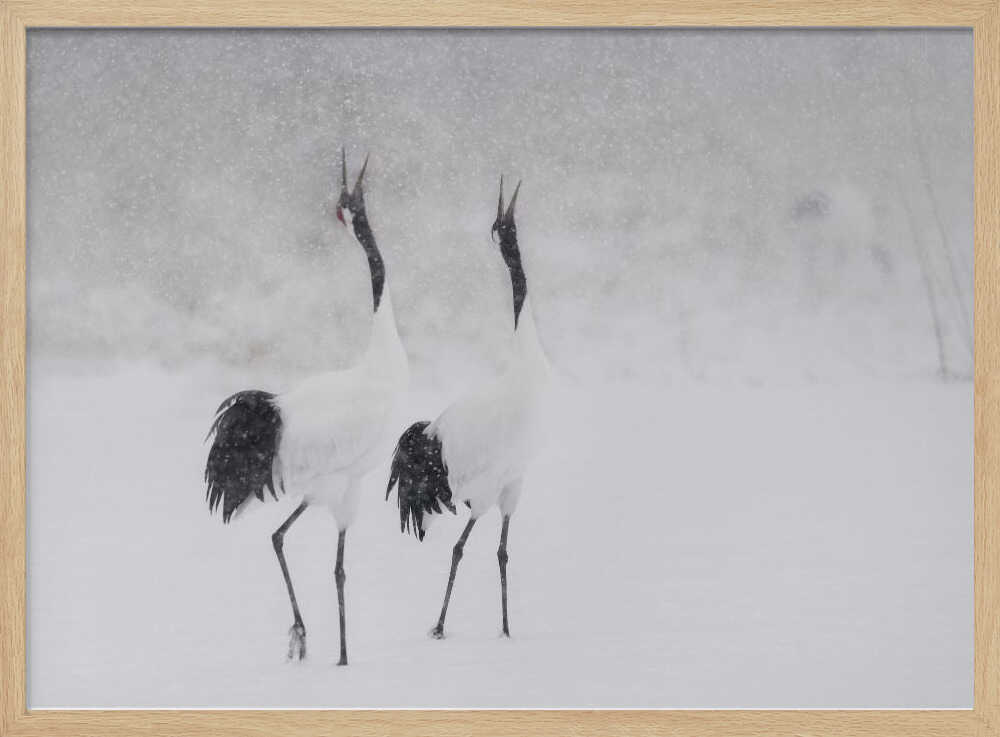 Calling Cranes in Snow Art Print UK — Japanese Dark Wall Art — Living Room — Wall It All Prints