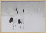Calling Cranes in Snow Art Print UK — Japanese Dark Wall Art — Living Room — Wall It All Prints
