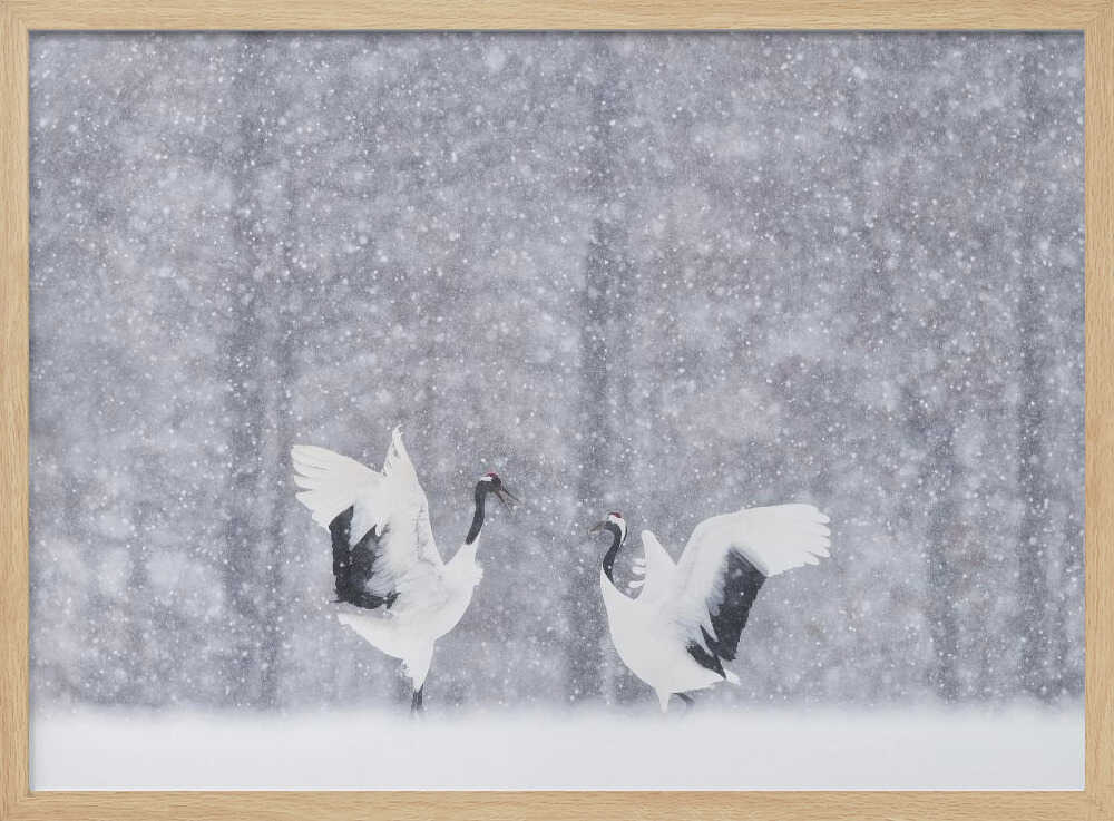 Snowy Crane Dance Art Print UK — Landscape Calm Wall Art — Living Room — Wall It All Prints