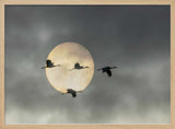 Flying Cranes Sun Art Print UK — Dark Moody Calm Wall Art — Living Room — Wall It All Prints