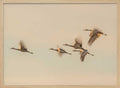 Cranes In Golden Flight