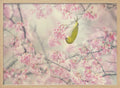 Green Bird Pink Blossoms