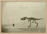 the walk