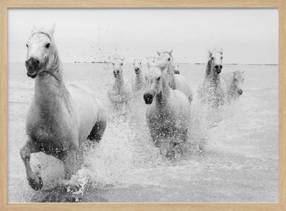 Wild White Horses Running Art Print UK — Landscape Dark Wall Art — Living Room — Wall It All Prints
