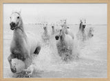 Wild White Horses Running Art Print UK — Landscape Dark Wall Art — Living Room — Wall It All Prints