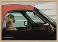 Weimaraner Ready to Ride