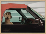 Weimaraner Ready to Ride Art Print UK — Vintage Elegant Wall Art — Living Room — Wall It All Prints