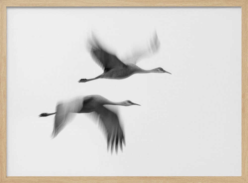 Cranes in Motion Art Print UK — Abstract Dark Wall Art — Living Room — Wall It All Prints