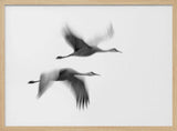 Cranes in Motion Art Print UK — Abstract Dark Wall Art — Living Room — Wall It All Prints
