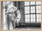 Angel Wings Ethereal Light