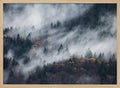Misty Autumn Forest