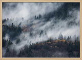 Misty Autumn Forest Art Print UK — Dark Moody Vibrant Wall Art — Living Room — Wall It All Prints