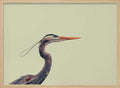 Elegant Blue Heron