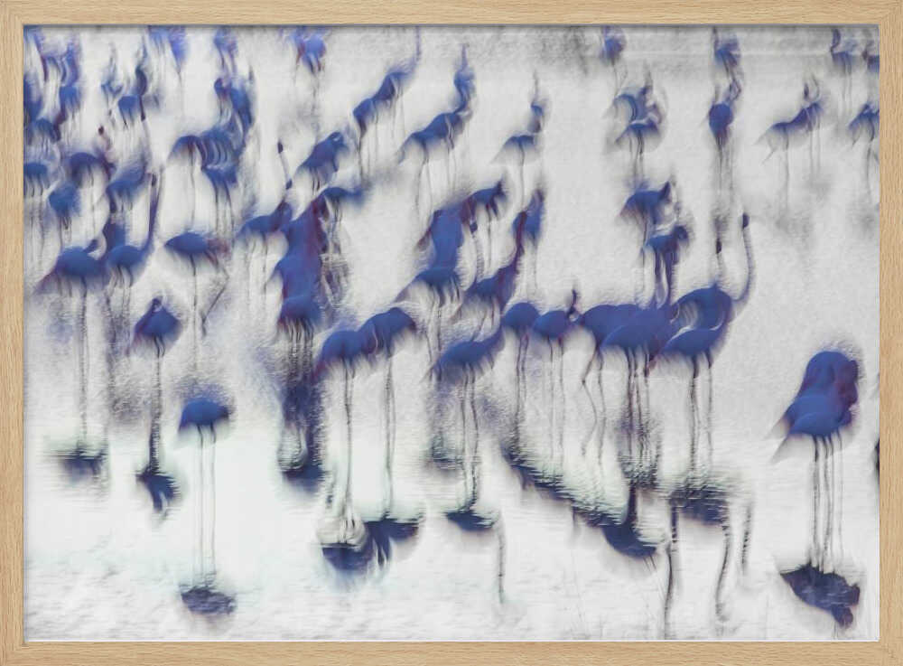 Fluid Blue Flamingos Art Print UK — Abstract Calm Wall Art — Office — Wall It All Prints