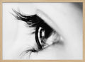 Eye's Inner Reflection