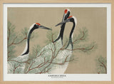 Cranes From Momoyogusa Art Print UK — Japanese Vibrant Wall Art — Living Room — Wall It All Prints