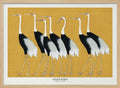 Japanese Red Crown Crane