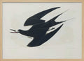 Sooty Tern From Birds of America (1827)