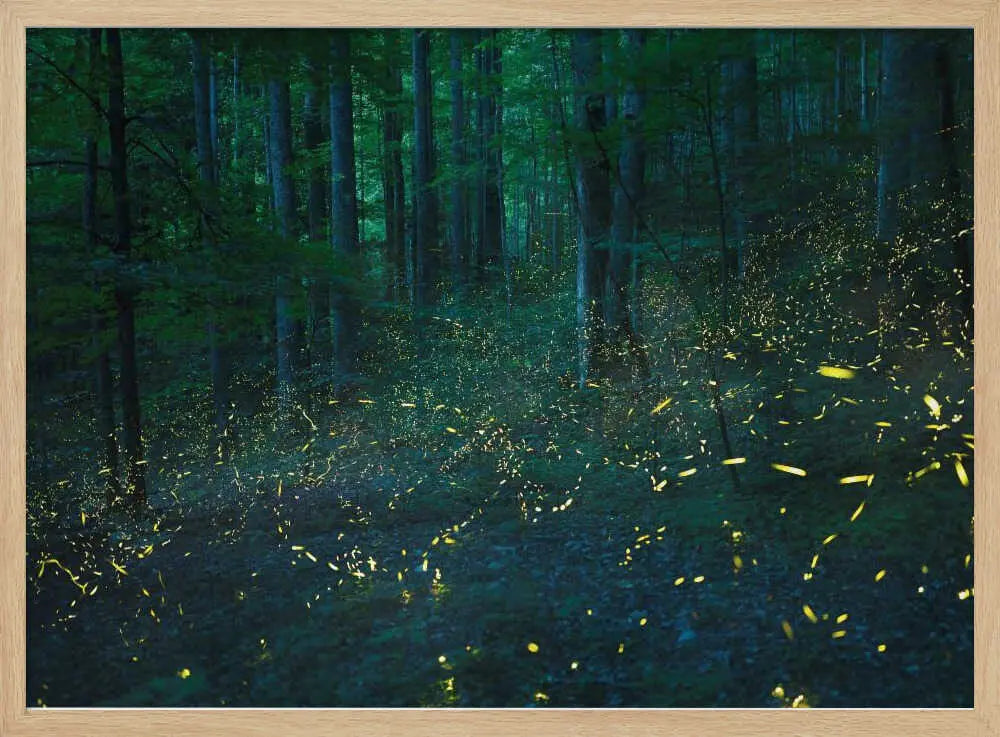 Forest Firefly Glow Art Print UK — Dark Moody Calm Wall Art — Bathroom — Wall It All Prints