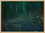 Forest Firefly Glow Art Print UK — Dark Moody Calm Wall Art — Bathroom — Wall It All Prints