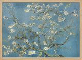 Vincent Van Gogh's Almond Blossom (1890)