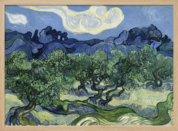 Vincent Van Gogh's Olive Trees With the Alpilles In the Background (1889) Vincent Van Gogh