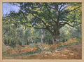 The Bodmer Oak, Fontainebleau Forest (1865) By Claude Monet