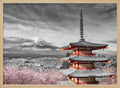 Cherry Blossoms Mount Fuji Pagoda