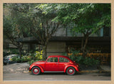 Retro Car in Mexico City Art Print UK — Botanical Vibrant Wall Art — Living Room — Wall It All Prints