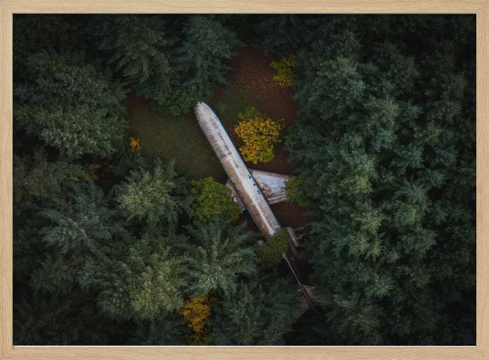 Abandoned Plane in Forest Art Print UK — Landscape Vibrant Wall Art — Living Room — Wall It All Prints
