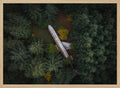 Abandoned Plane in Forest