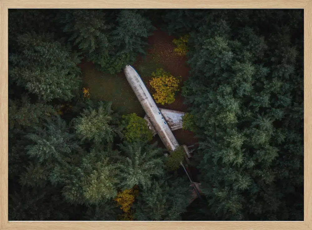 Abandoned Plane in Forest Art Print UK — Landscape Vibrant Wall Art — Living Room — Wall It All Prints