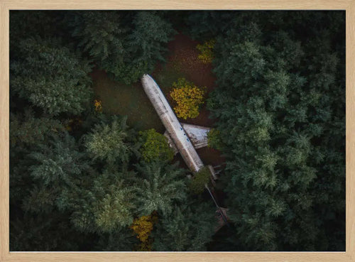 Abandoned Plane in Forest Art Print UK — Landscape Vibrant Wall Art — Living Room — Wall It All Prints