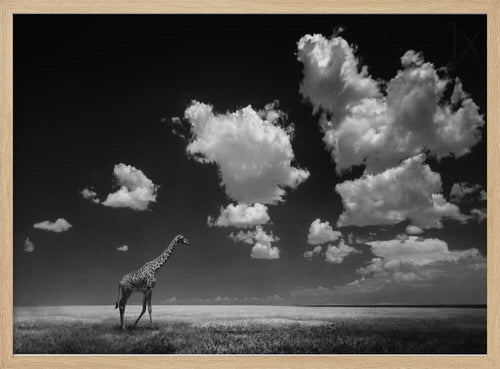 African Giraffe Sky Art Print UK — Botanical Calm Wall Art — Bedroom — Wall It All Prints