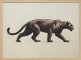 Black Panther Stride