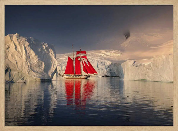 Red Sails Polar Expedition Karol Nienartowicz