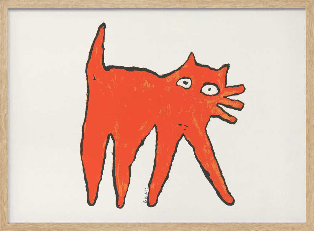 Orange Cat