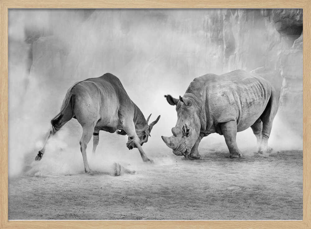 Rhino Eland Showdown Art Print UK — Animal Dark Wall Art — Living Room — Wall It All Prints