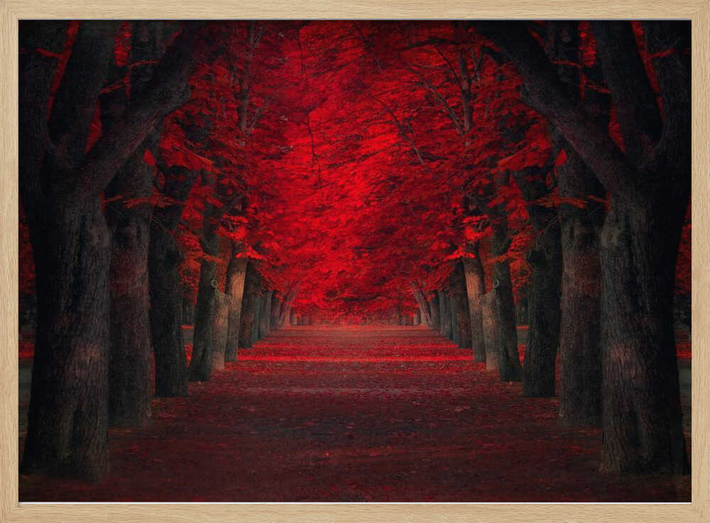 Vibrant Red Tree Pathway Art Print UK — Botanical Vibrant Wall Art — Living Room — Wall It All Prints