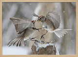 Winter Birds Battle Art Print UK — Animal Vibrant Wall Art — Bathroom — Wall It All Prints
