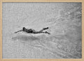 Dynamic Pool Swimmer
